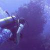 Picture taken during the dive
