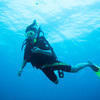 Picture taken during the dive