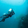 Picture taken during the dive