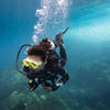 Picture taken during the dive