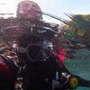 Picture taken during the dive