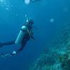 Picture taken during the dive