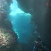 Picture taken during the dive