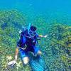 Picture taken during the dive