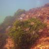 Picture taken during the dive