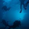 Picture taken during the dive