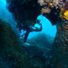 Picture taken during the dive