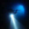 Picture taken during the dive