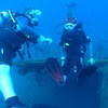 Picture taken during the dive