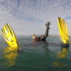 Picture taken during the dive