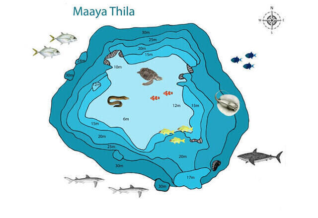 Diving in Maldives, Maaya Thila - By Ivàn Carozza