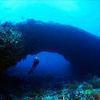 Picture taken during the dive