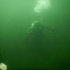 Picture taken during the dive