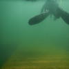 Picture taken during the dive