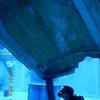 Picture taken during the dive