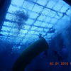 Picture taken during the dive