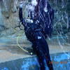 Picture taken during the dive