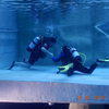 Picture taken during the dive