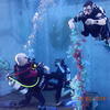 Picture taken during the dive