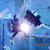 Picture taken during the dive