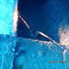 Picture taken during the dive