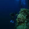 Picture taken during the dive