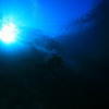 Picture taken during the dive