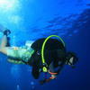 Picture taken during the dive