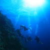 Picture taken during the dive