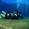 Picture taken during the dive