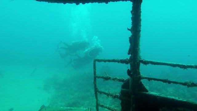 Dressel Divers Club - Dive Center in Dominican Republic