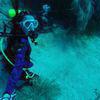 Picture taken during the dive