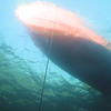 Picture taken during the dive