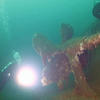 Picture taken during the dive