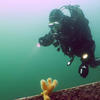 Picture taken during the dive