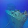 Picture taken during the dive
