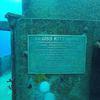 Picture taken during the dive