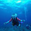 Picture taken during the dive