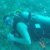 Picture taken during the dive