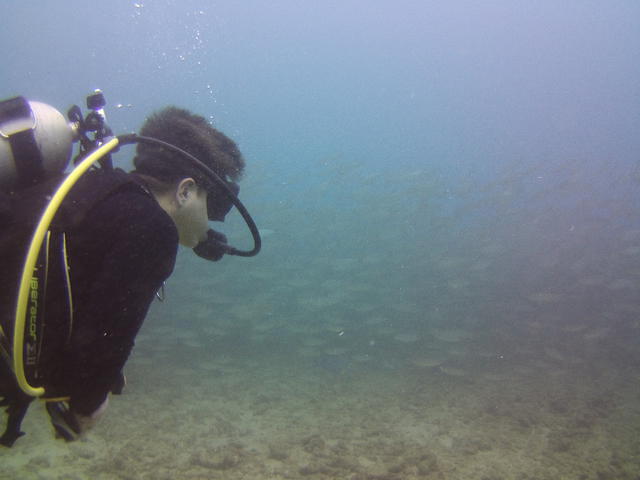Diving in Kalaheo, United States - By Adrián Zárate