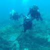 Picture taken during the dive
