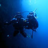 Picture taken during the dive