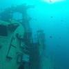 Picture taken during the dive