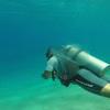 Picture taken during the dive