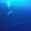Picture taken during the dive