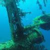 Picture taken during the dive