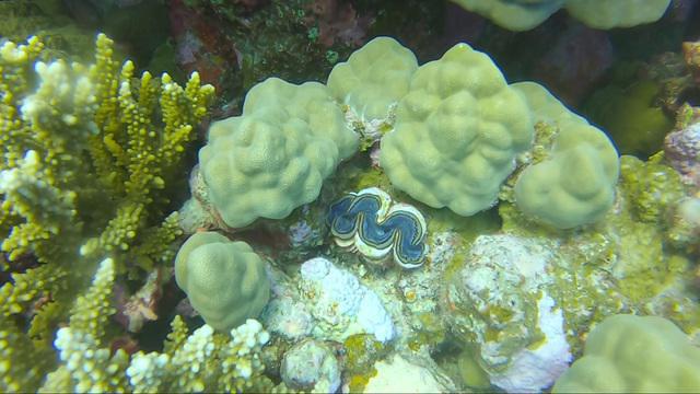Extra Divers Fayrouz - Dive Center in Egypt