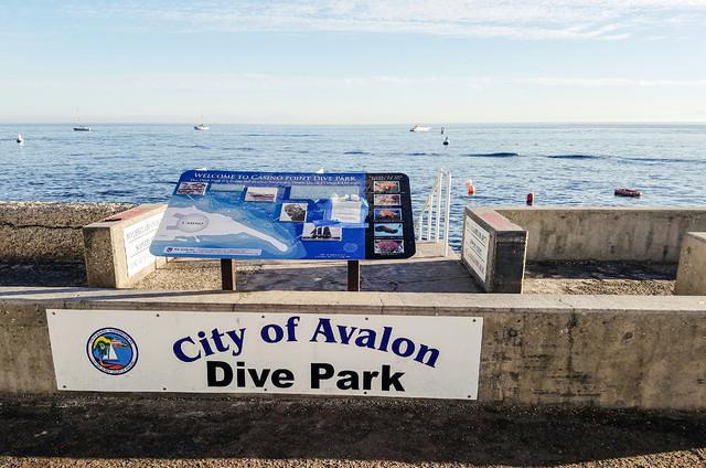 Pacific Wilderness, Inc. - Dive Center in United States