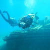 Picture taken during the dive