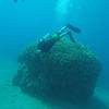 Picture taken during the dive